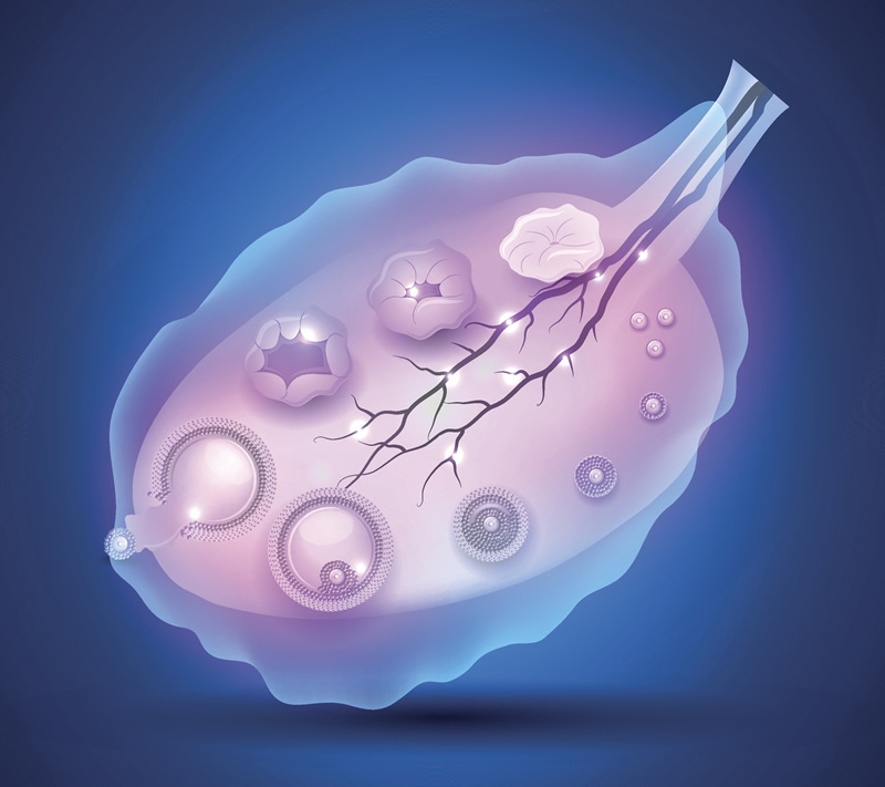 在钦州妇幼做试管大概需要多少费用？三代试管会不会特别贵？